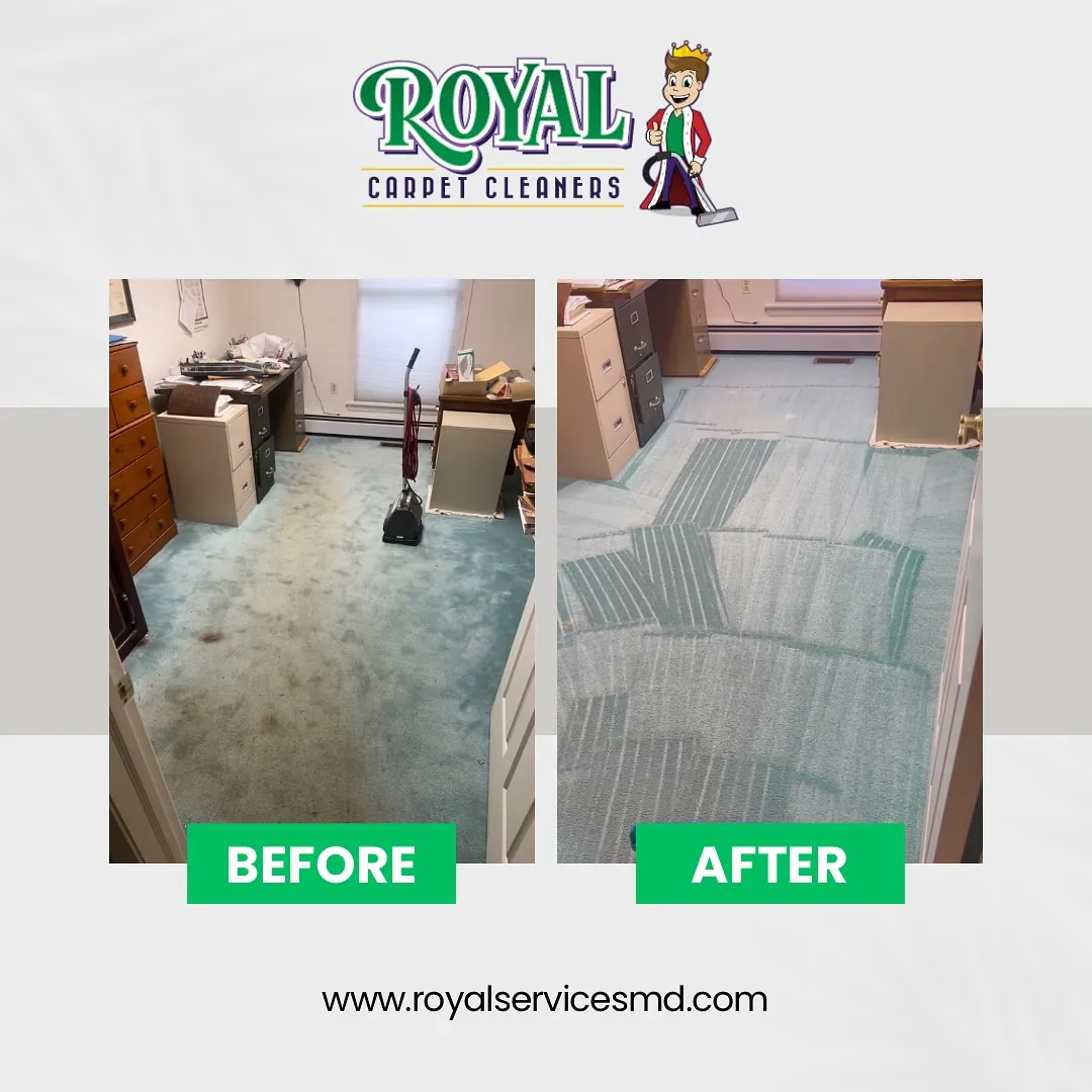 Professional carpet cleaning results from Royal Carpet Cleaners